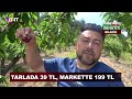 tarlada 39 tl markette 199 tl.