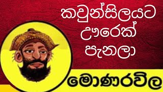 කවුන්සිලයට ඌරෙක් පැනලා