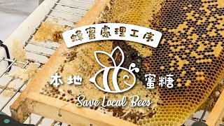 【Save Local Bees 拯救本地蜂保育計劃】\\ 🍯蜂蜜處理工序🐝 /  #savelocalbees savelocalbees #拯救本地蜂保育計劃