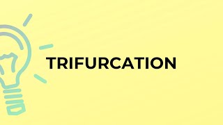 What is the meaning of the word TRIFURCATION?