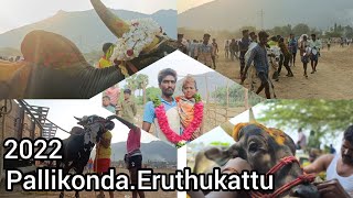 pallikonda eruthukattu 2022 vellore Vlog