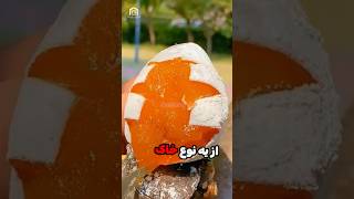 ببین با میوه ها چه میکنن…