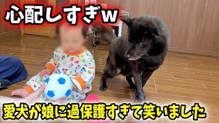 【犬の親心】愛犬が娘に過保護すぎて面白いw