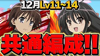 シャナ共通編成でLV11,LV12,LV13,LV14を攻略！誰でも勝てる！代用解説も！12月クエスト 魔法石50個！【パズドラ】