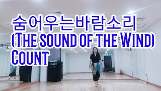 숨어우는 바람소리 ( The  sound  of  the  Wind) 홍은미 라인댄스