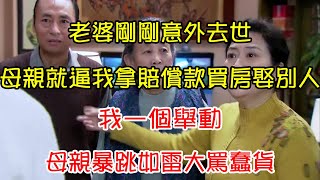 老婆剛剛意外去世，母親就逼我拿賠償款買房娶別人，我一個舉動，母親暴跳如雷大罵蠢貨｜翠花的秘密