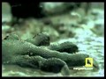 What Causes the Oceans to Circulate? 1/3
