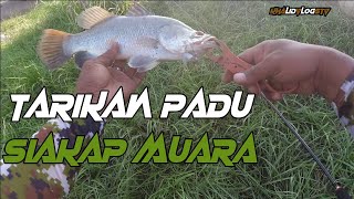 Memburu Siakap Di Muara Pulau Gadong Melaka