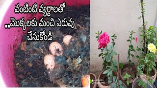 వంటింటి వ్యర్ధాలతో ..మొక్కలకు మంచి ఎరువు చేసుకోండి ||Compost Preparation With Kitchen Waste|#Compost