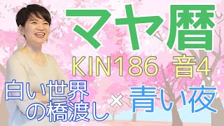 マヤ暦【KIN 186】白い世界の橋渡し 青い夜 音4 神回「自分のエゴだと思うこと」開運ポイント