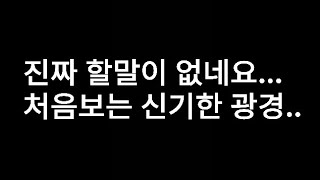 마피아42 어메이징 랭크게임 배치고사 사람하나 죽겄다; 덕수형님