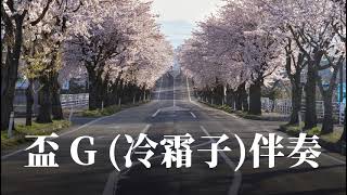 盃 G (冷霜子)伴奏(KARAOKE)Wav高音質