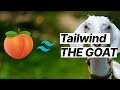 Tailwind CSS is good actually