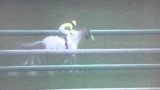 Big Osaka - Maiden - G1 Jockey 2008