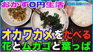 【おかず0円生活】初めて丘ワカメ食べてみる♪(^o^)ノ