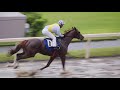 シトリンちゃん能力検査で1着！【川崎競馬場 2019年11月22日】4k版