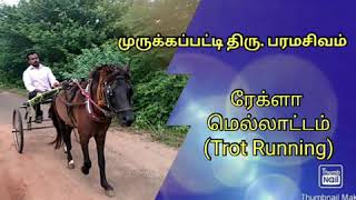 குதிரைகளை மெல்லாட்டத்தில் (Trot Running) ஓட்டும் முறை