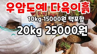 다육이 뿌리활착에 좋은 다육이흙 10키로 15000원 택포함 20키로 25000원 우암도예흙  Succulents 多肉植物