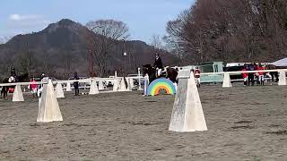 2021.03.06 関東学生馬術新人大会　会長杯ジムカーナ　ラトゥールブリエ＆吉實陽介