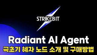 Radiant AI Agent 극초기 혜자 노드 소개 및 구매방법