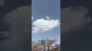 Sky 2024.04.17日本山形縣天童市的天空#18，Tendo Yamagata , Japan 。拍攝地點：天童公園