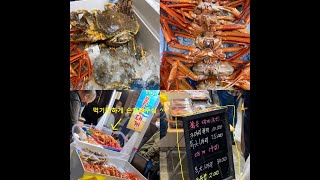 속초중앙시장/아빠가잡아온붉은대게/줄서서먹는맛집