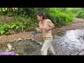 new life orphan girl lan alone traps fish to sell for a living