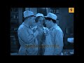 তিন বলদ যখন বিরাট মিস্ত্রি three stooges bangla funny dubbing। bachal brothers.