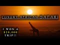 Luxury Safari in Africa | Angama Mara | The Trip of a Lifetime | Maasai Mara, Kenya, Africa |