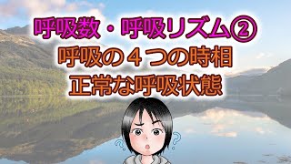 呼吸数・呼吸リズム②呼吸の４つの時相と正常な呼吸状態