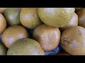 mansa sabji mandi rates 8 1 25 vegetables viral viralvideo video