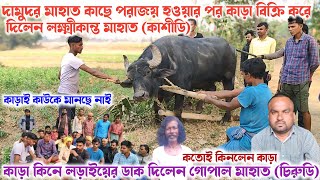 লক্ষ্মীকান্ত মাহাতোর কাড়া কিনে নিয়ে লড়াইয়ের ডাক দিলেন গোপাল মাহাত চিরুড়ি