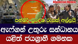 ඇෆ්ගන් හමුදා සන්ධානය යළිත් ජයග්‍රාහී මාවතට