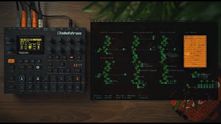 Livecoding the Elektron Digitakt with ORCΛ