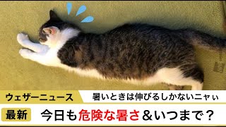 今日も危険な暑さ…ズバリいつまで暑い？