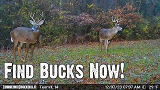 How To Find Late Season Bucks