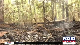 Suspected arsonist strikes again in Fairhope