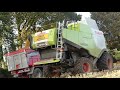 moisson de maïs 2019 2x lexion 750 claas lexion 750 tt personnalisée bretagne