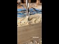 skilled carpenter wood woodworking toolstip