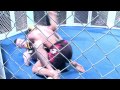 age of cage 2 wisam mamoka vs ruslan ahmadov