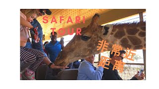 Johannesburg South Africa Safari I I Can Touch the Giraffe! 【南非旅游】零距離野生動物體驗 |  未看過的鴕鳥愛愛