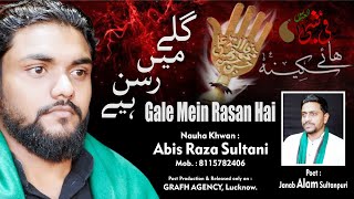 गले में रसन है | Gale Mein Rasan Hai | Abis Raza Sultani | Alam Sultanpuri | #noha #moharram