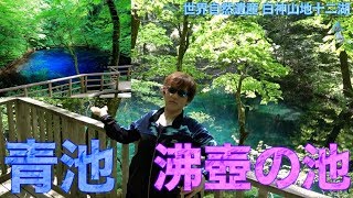 【白神山地】絶景\u0026衝撃！アグノムに会える場所はここだ！世界遺産神秘の十二湖になら絶対にＵＭＡいる説【ポケモンGO】