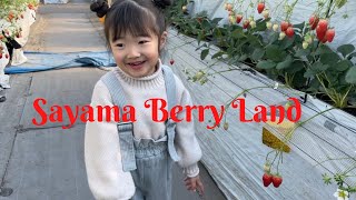 Strawberry Picking at Sayama Berry land /いちご狩り狭山ベリーランド