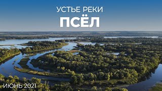 Устье реки Псёл