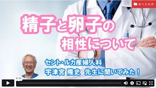 精子と卵子の相性についてーセント・ルカ産婦人科　宇津宮先生【ジネコ_妊活応援since2000】