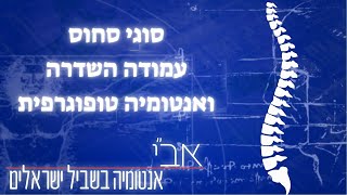 שיעור על סחוס ,עמוד השדרה ואנטומיה טופוגרפית