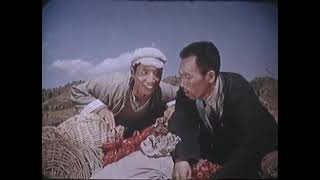 《青松岭》 老电影 1965年版