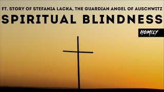 Homily for 8th Sunday in Ordinary Time ( Year C ) March 2, 2025 | Luke 6:39-45 (Spiritual Blindness)