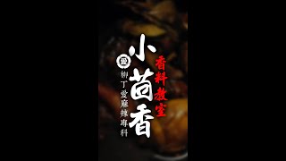 【柳丁愛麻辣專科】小茴香香料教學